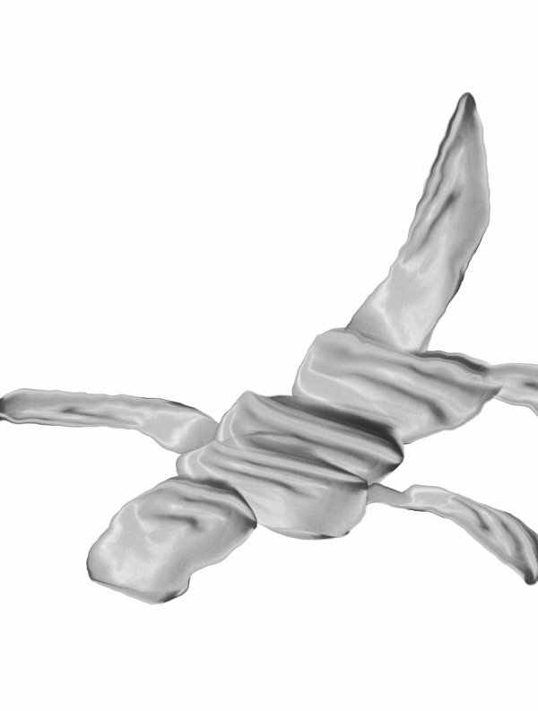 Creation of Dude where's my owner ?: Step 9